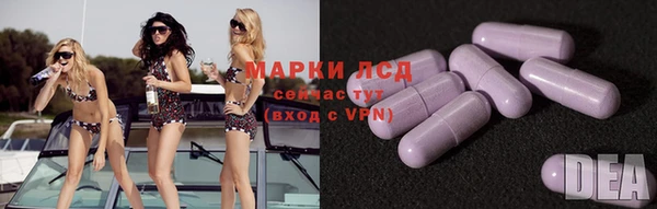 ПСИЛОЦИБИНОВЫЕ ГРИБЫ Пестово