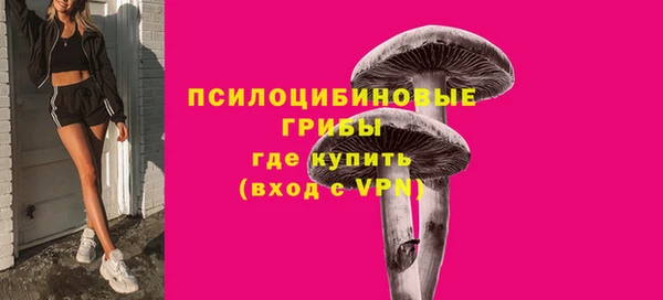 ПСИЛОЦИБИНОВЫЕ ГРИБЫ Пестово