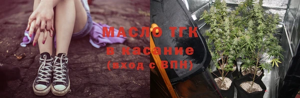 твердый Пересвет